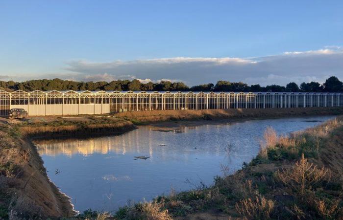 Mit grünen Energien mehr Strom erzeugen: die verschiedenen Ressourcen im Hérault