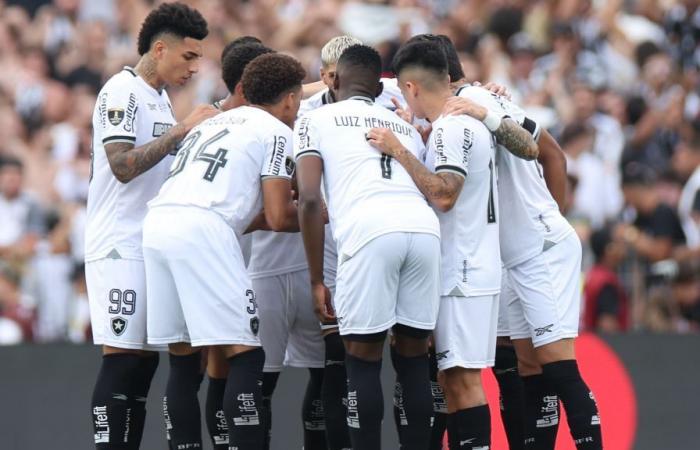 Mit mentaler Stärke ist Botafogo nach dem Sieg über Atlético-MG Meister der Libertadores