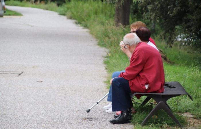 Sicherheit, Gesundheit, Geschäfte… Diese Städte auf der Île-de-France, in denen es sich für Senioren gut leben lässt