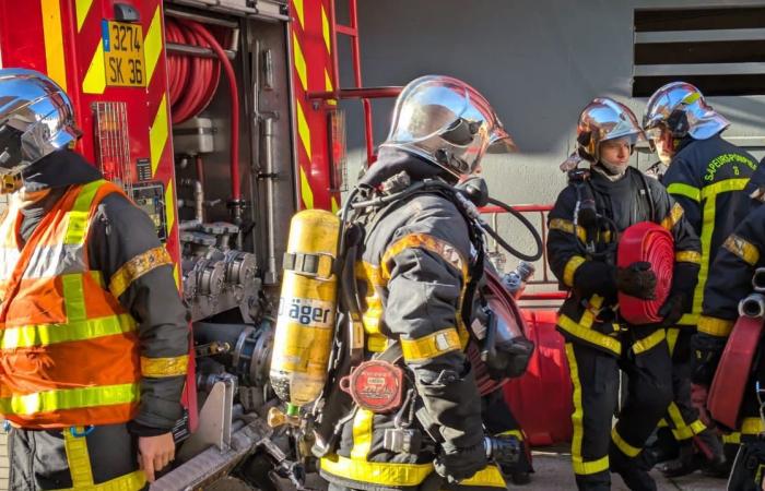 Einäscherung, Marseille und Feuerwehrleute in den Nachrichten vom Freitag, 29. November in Indre