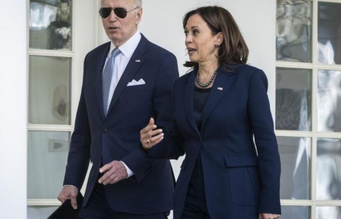 US-Vizepräsidentin Kamala Harris: Die Demokraten sind wütend auf Kamala Harris und kritisieren sie, weil sie nach der Wahlniederlage den Wählern nicht zugehört und sich selbst nicht reflektiert hat