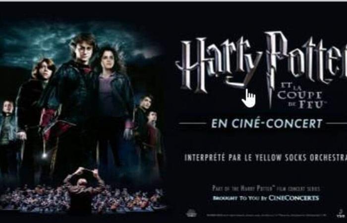 Eine Veranstaltung für Harry-Potter-Fans in Loire-Atlantique