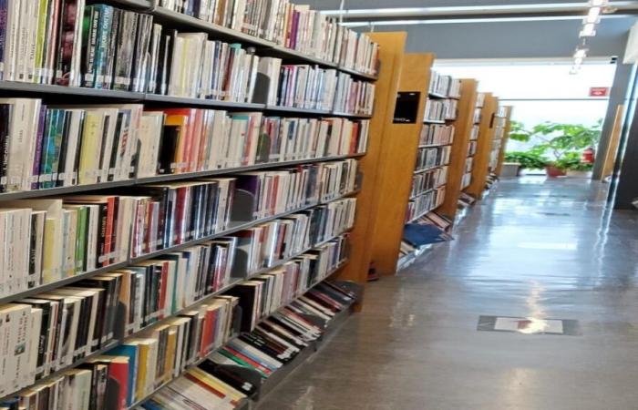 CEGEP-Bibliotheken verschwinden