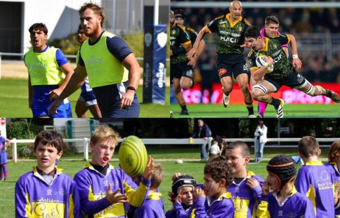 La Rochelle – RC Vannes: Matthias Haddad und Mattéo Desjeux, zwei reine Produkte von RCP Muzillac in den Top 14