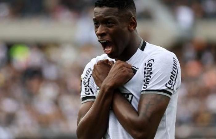 Botafogo überwindet den Rauswurf, schlägt Atlético-MG und gewinnt Libertadores