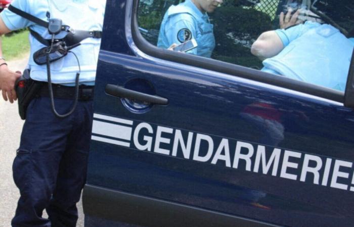 Große Razzia der Gendarmerie in einem Drogenhandelsfall in Lot-et-Garonne