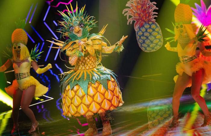 „Masked Singer“-Überraschung: „Lady Ananas“ ist eine Schauspiel-Ikone | Unterhaltung