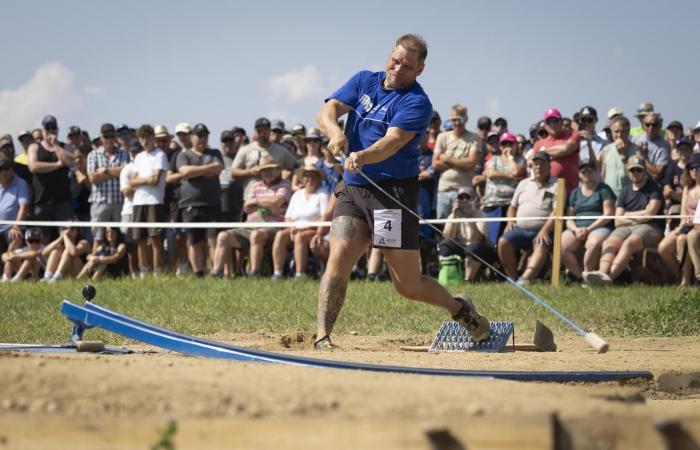 Entdecken Sie Hornuss, diesen wenig bekannten Schweizer Nationalsport – rts.ch