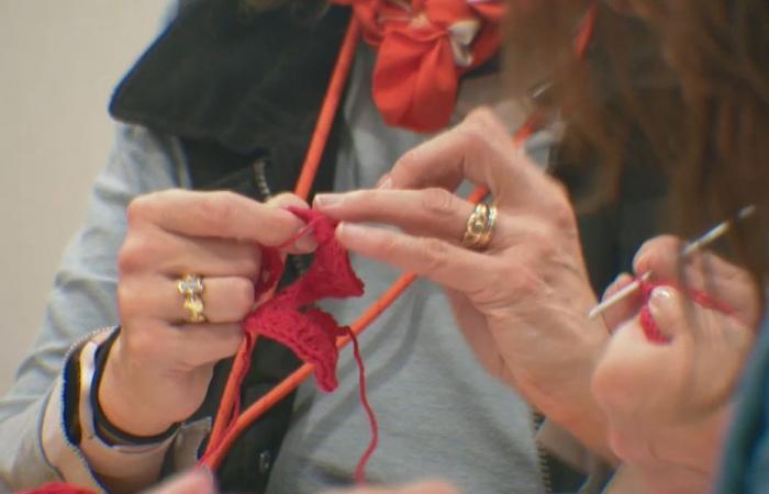 „Auf die Plätze, fertig, stricken!“ auf der Messe Créations & savoir-faire 2024