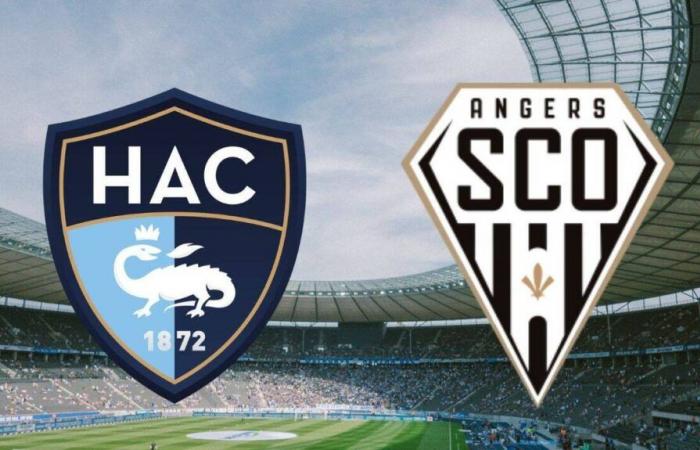 Le Havre – Angers: Auf welchem ​​Kanal und zu welcher Uhrzeit kann man das Ligue-1-Spiel live verfolgen?