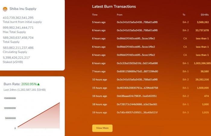 1.003.000.000 SHIB in einer Stunde – Was passiert?