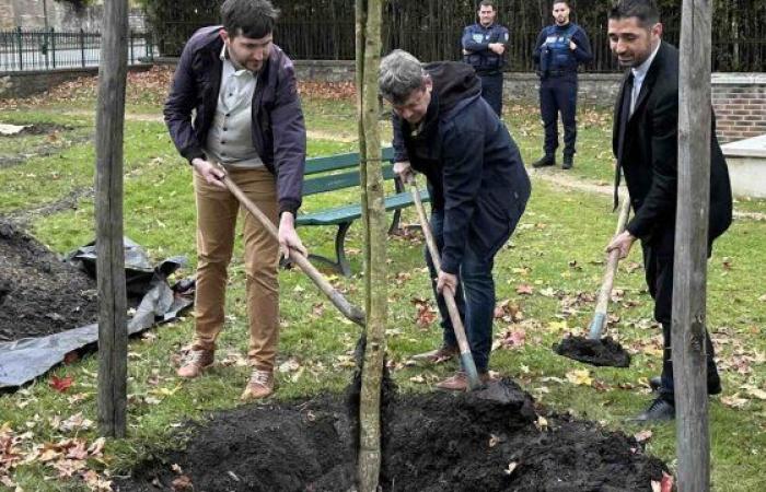 Den Baum der Freiheit pflanzen – Le Petit Journal