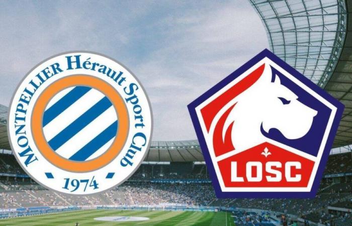 Lille: Auf welchem ​​Kanal und zu welcher Uhrzeit kann man das Spiel der Ligue 1 live verfolgen?