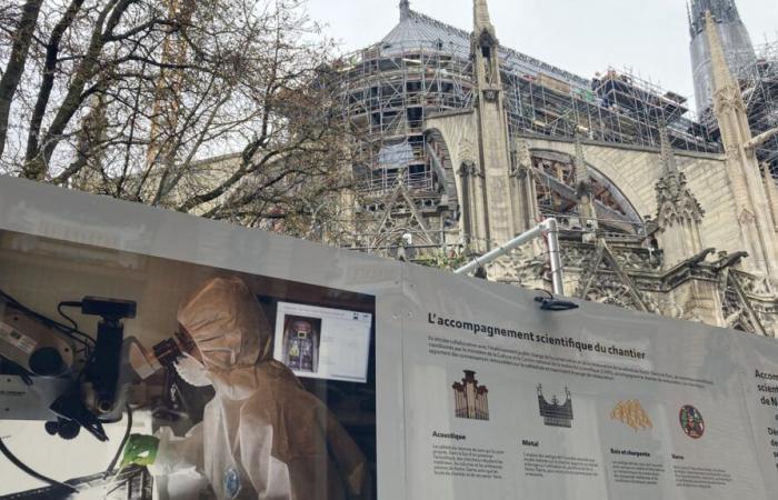 Wird Notre-Dame de Paris eines Tages ein eigenes Museum haben?