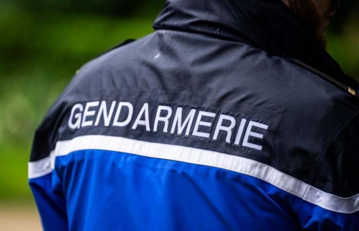 Was wir über das Verschwinden der 13-jährigen Morgane in der Bretagne wissen