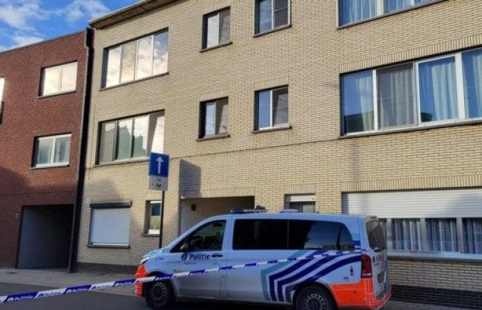 Frau (46) in Herentals „sehr gewaltsam“ getötet, Partner (54) festgenommen