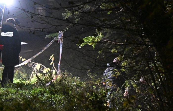 LE CREUSOT: Die makabre Entdeckung eines halben Körpers wirft viele … erschreckende Fragen auf!