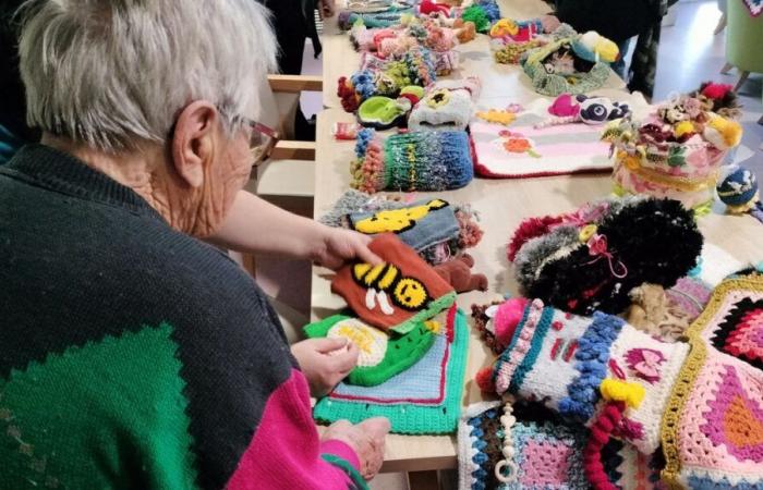 Strickbegeisterte bieten den Bewohnern eines Pflegeheims in Creuse Kreationen an, um sie anzuregen