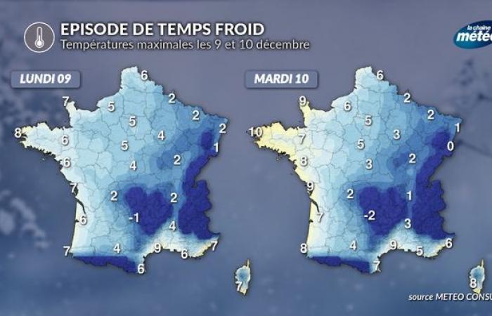 Kälte und Schnee: Was Sie ab dem kommenden Wochenende erwartet