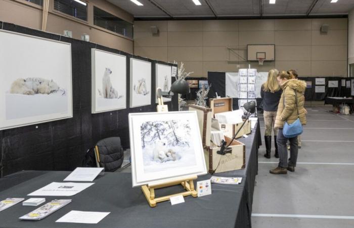 Eine frostige Ausgabe des Nature Photo Festival verführte ihr Publikum im Noirmont