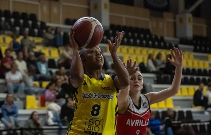 Landes-Basketball-Hoffnungen zu groß für Rochelaises