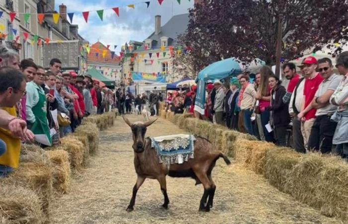 Kino in Indre-et-Loire. Ségolène vor den Kameras von „Bodin gerät ins Trudeln“