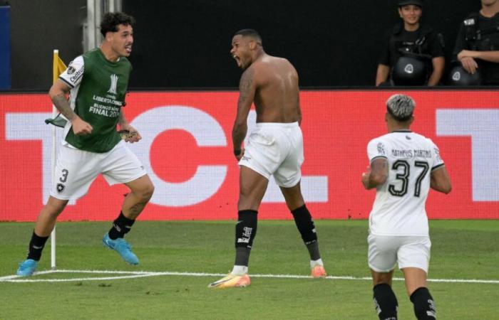 John Textors Botafogo wird zum Champion gekrönt, eine gute Nachricht für OL