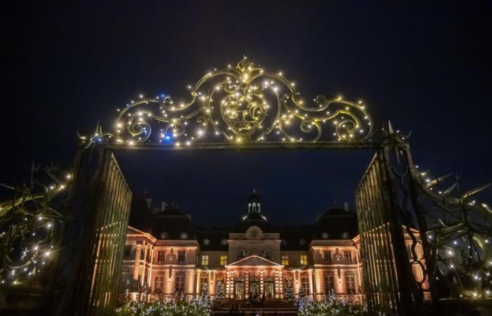 Unsere Auswahl von 5 Schlössern in der Île-de-France, um eine wundervolle Zeit zu verbringen