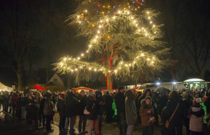 Weihnachtsmarkt-Geheimtipp für Ruhrgebiet-Fans – warst du mal da?