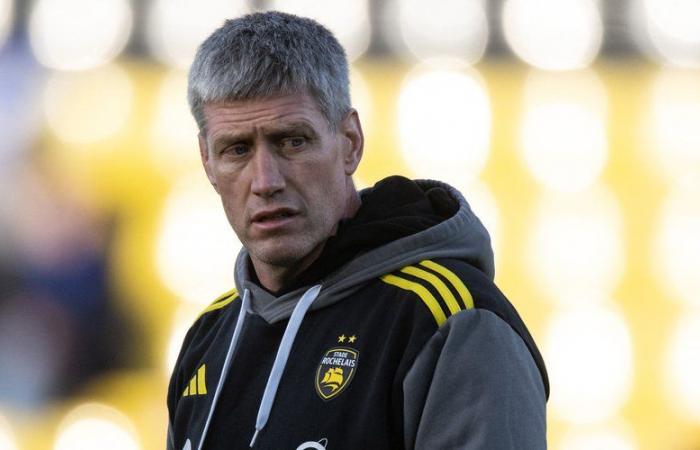 Top 14: „Das passiert nicht in Toulouse“ … Warum Ronan O’Gara sich nach der „großen Ohrfeige“ gegen Vannes Stade Toulousain als Vorbild nimmt