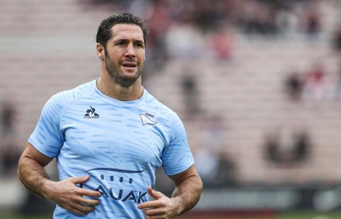 Transfers Top 14 / Pro D2 – Maxime Machenaud zwischen Bayonne und Brive