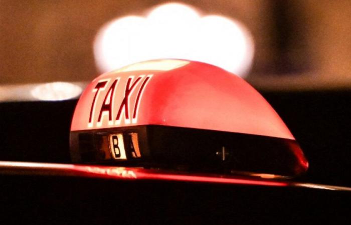 Zahlreiche Taximobilisierungen in ganz Frankreich geplant: Nachrichten