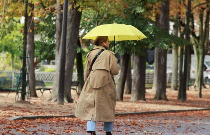 Weniger Regen als sonst, Nord-Süd-Kontrast bei Sonne und Temperaturen: Wie war das Wetter im November?