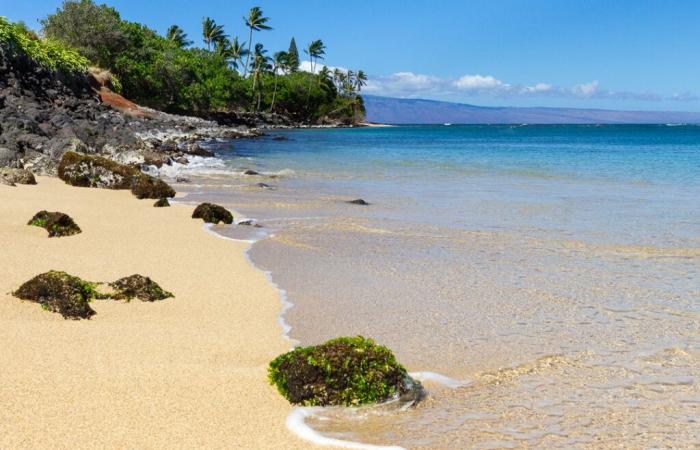 Maui-Wettervorhersage für den 2. Dezember 2024: Maui jetzt