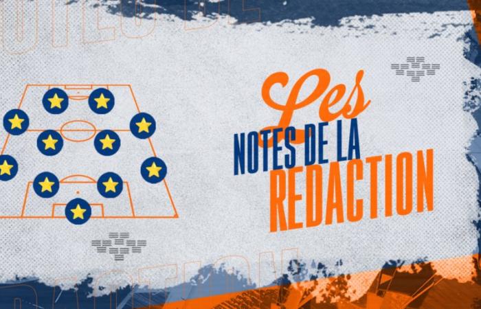 [MHSC-LOSC] Individuelle redaktionelle Anmerkungen