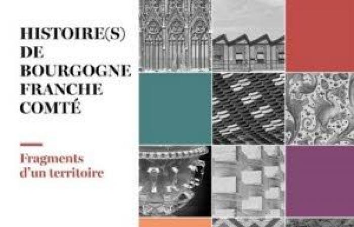 Treffen rund um das Buch „Geschichte des Burgund Franche Comte“: Konferenz in Besancon