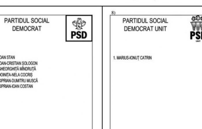 Ergebnisse der Parlamentswahlen 2024. Wie viele Stimmen erhielten die beiden Parteien mit fast identischen Namen wie die PSD? Wucherpreis, den die Sozialdemokraten an Marcel Ciolacu zahlen