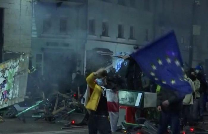 Tausende EU-freundliche Demonstranten gehen auf die Straße