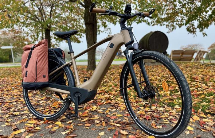 Decathlon bietet einen elektrischen VTC mit einem atemberaubenden Motor an