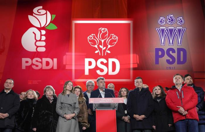 Ergebnisse der Parlamentswahlen 2024. Wie viele Stimmen erhielten die beiden Parteien mit fast identischen Namen wie die PSD? Wucherpreis, den die Sozialdemokraten an Marcel Ciolacu zahlen