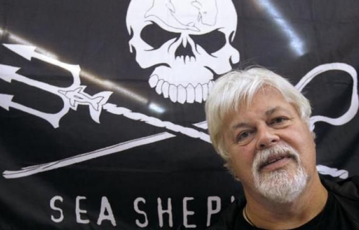 Walverteidiger Paul Watson bleibt bis zum 18. Dezember im Gefängnis