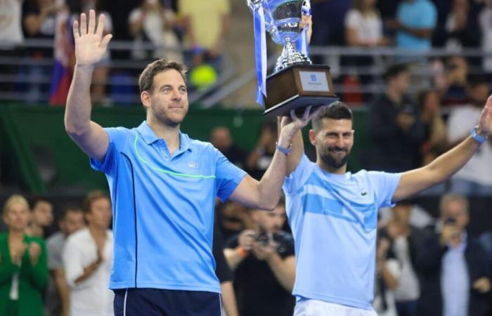 Tennis: Federer und Djokovic nehmen am Abschied von Del Potro teil