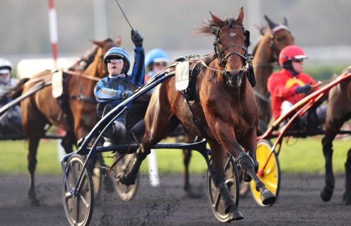 Einsendungen für den Ready Cash Prize und Bourbonnais 2024 in Vincennes