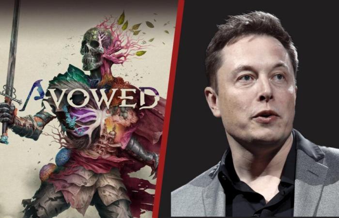 „Völlig inakzeptabel“ Elon Musk verhält sich wie Elon Musk und greift Avowed an, das zukünftige Rollenspiel von Obsidian