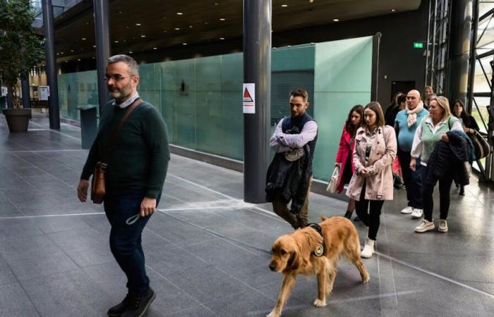 Frankreich: Im Mordprozess gegen Victorine tröstet ein Hund die Opfer