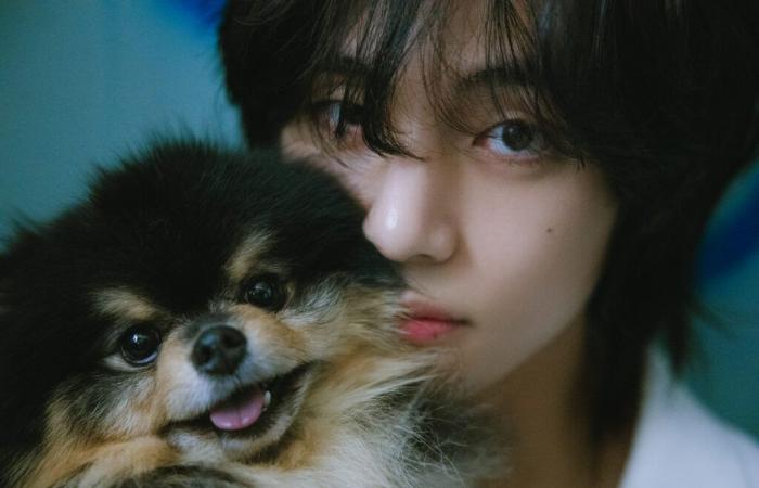 V von BTS gibt den Tod seines Hundes Yeontan bekannt