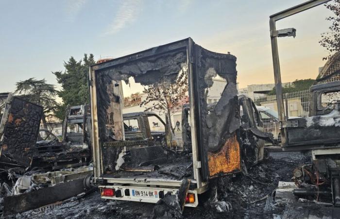 Die Gard Food Bank ruft zur Solidarität auf