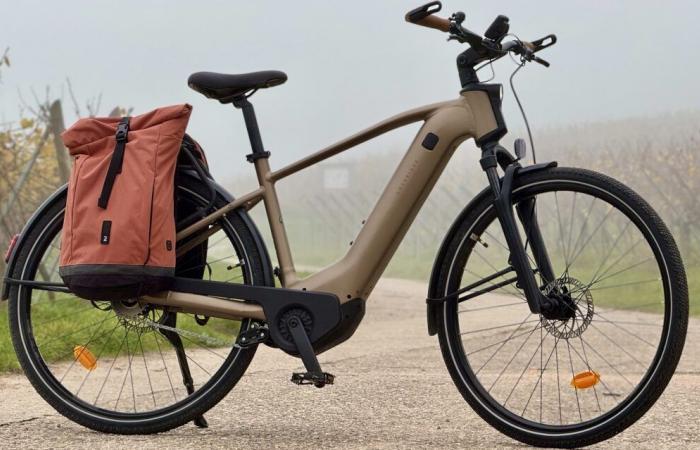 Decathlon bietet einen elektrischen VTC mit einem atemberaubenden Motor an