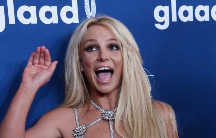 Britney Spears hat sich an ihrem 43. Geburtstag für legal Single erklärt