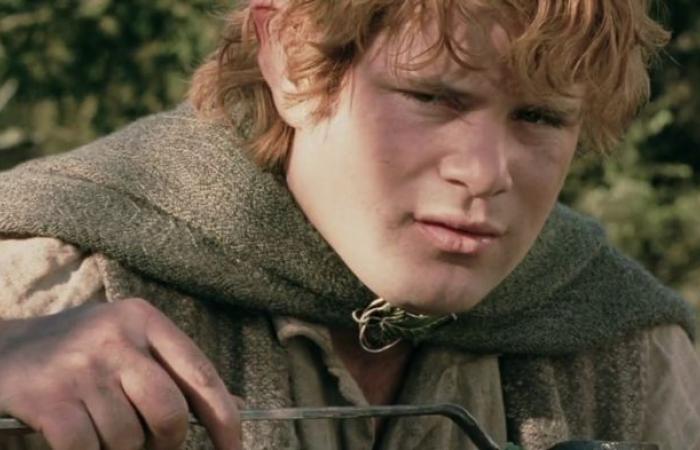 Der Herr der Ringe: 9 Geheimnisse von Sam